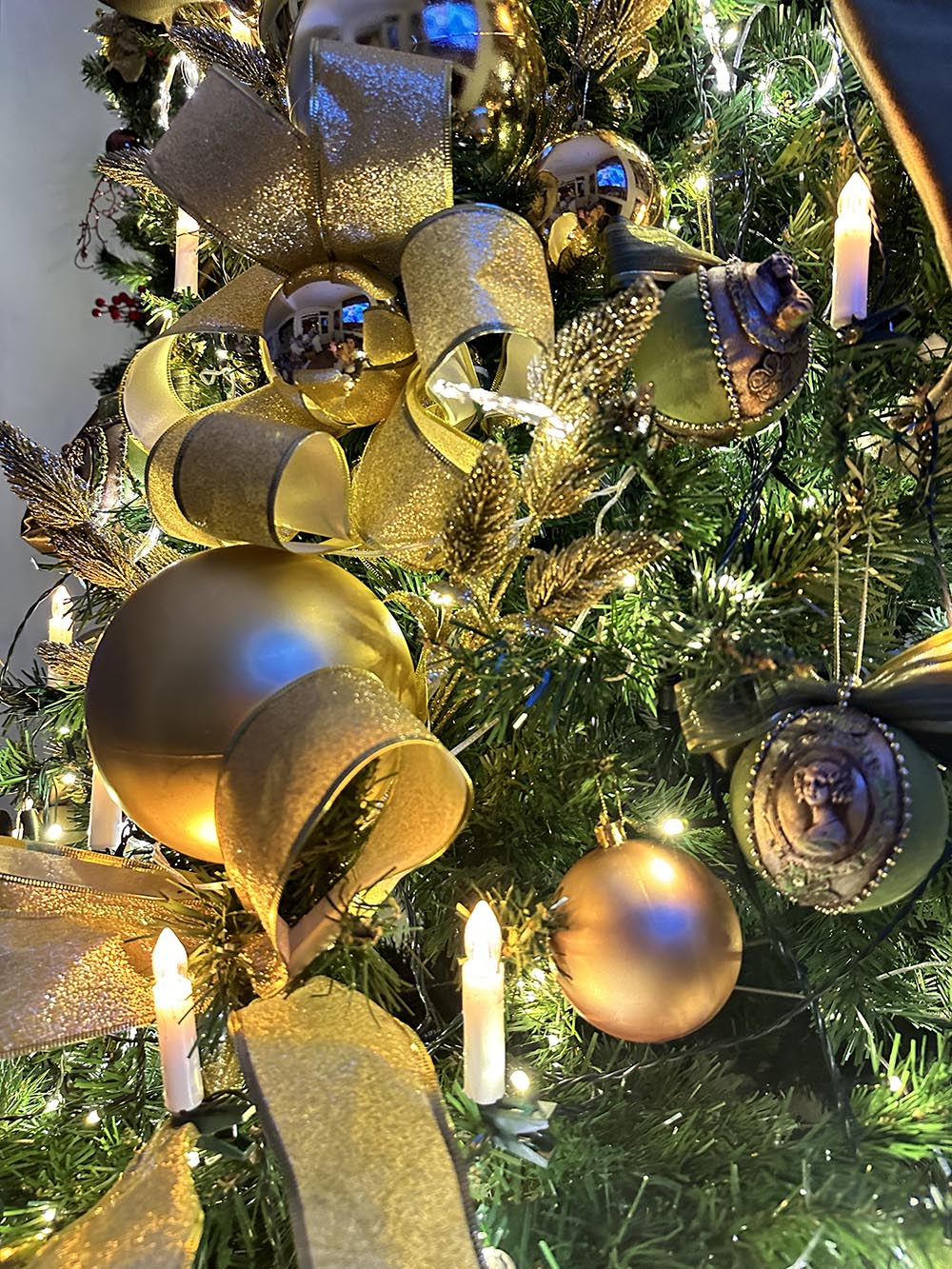 SPECIAL GREEN - KİRALIK YILBAŞI ÇAM AĞACI