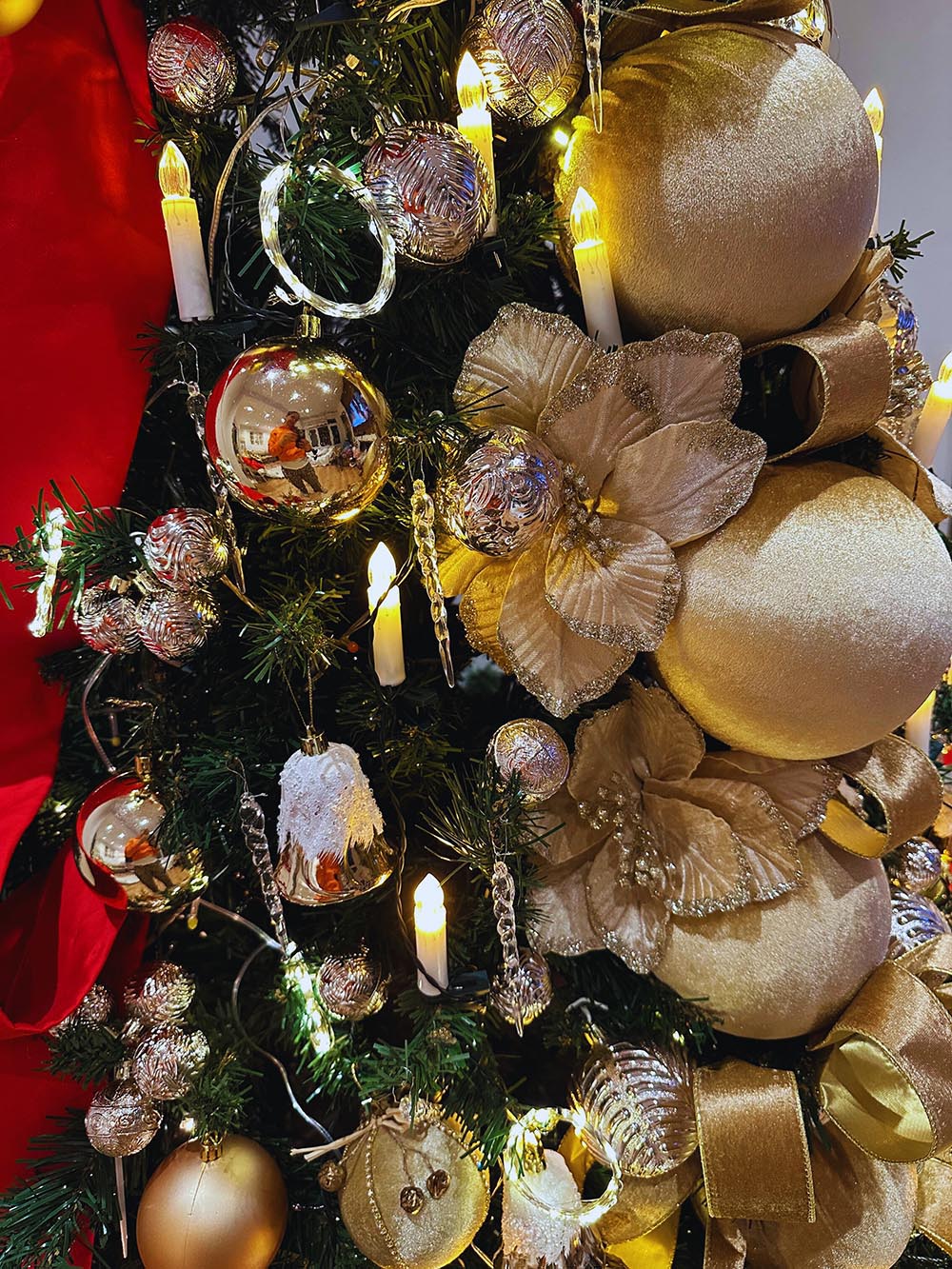 BEAUTY - KİRALIK YILBAŞI ÇAM AĞACI